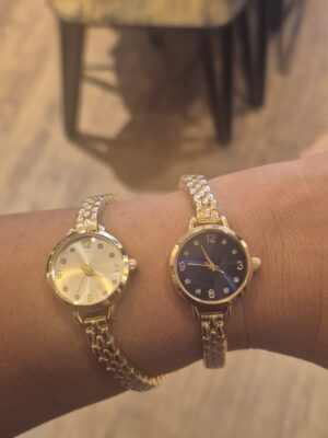 Montre Acier Inoxydable