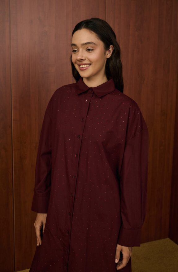 Chemise robe Shiné – Image 1